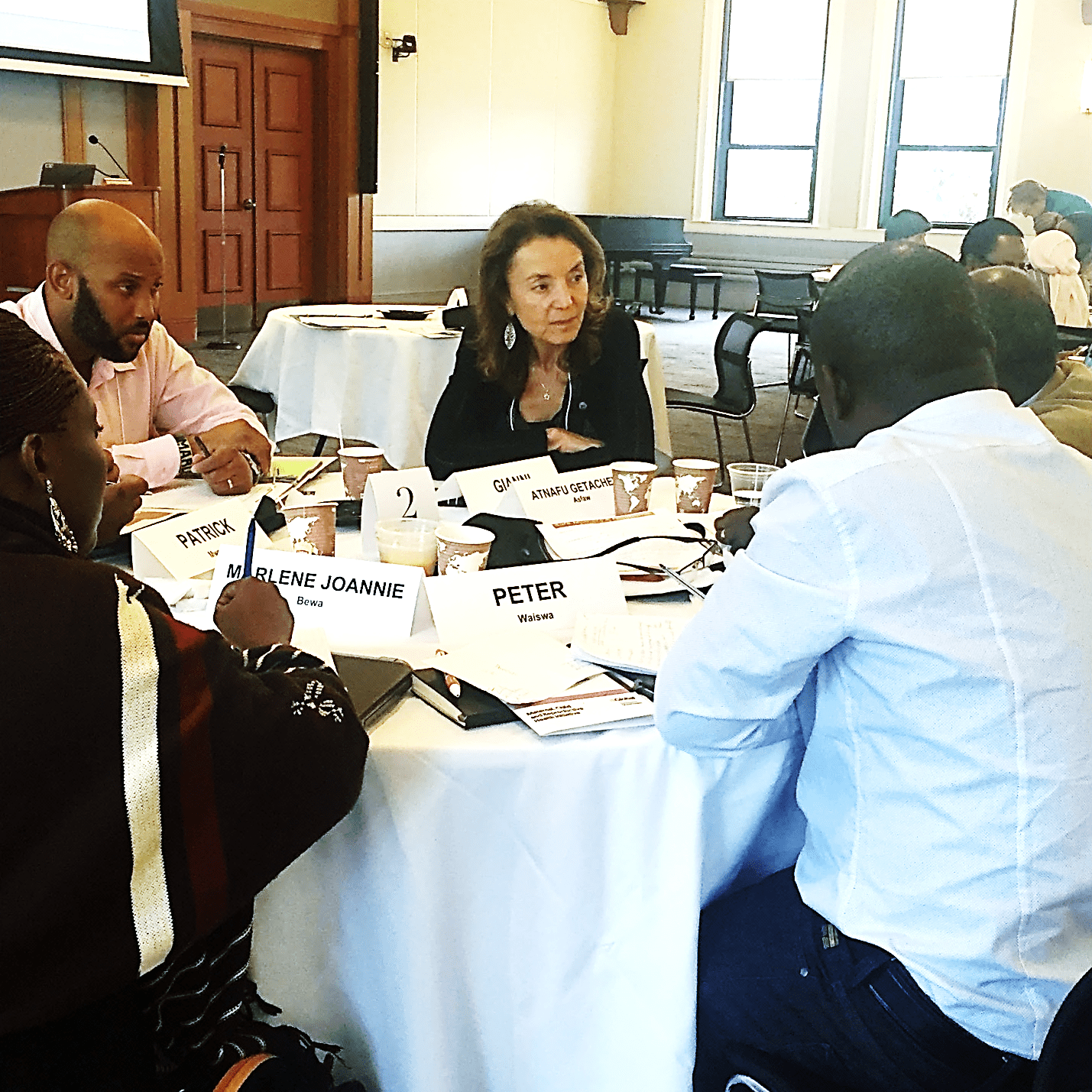 2016 Safe Mothers and Newborns Leadership Workshop Boston, MA; Ana Langer