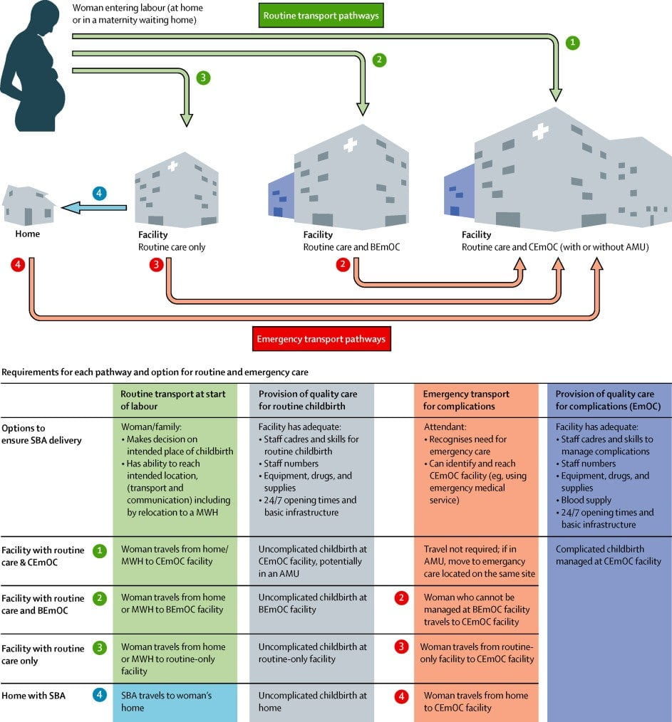 The Lancet MH Series Paper 3