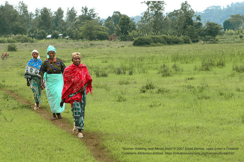 Women Walking near Mount Meru"© 2007 David Dennis, used under a Creative Commons Attribution license: https://creativecommons.org/licenses/by-sa/2.0/