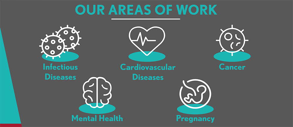 our areas os work infographic.