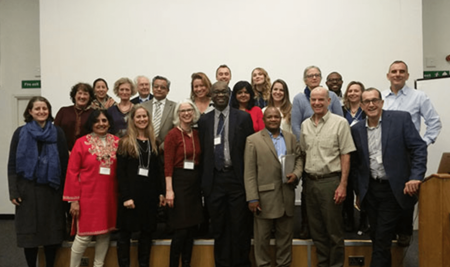 Group of maternal and child health experts