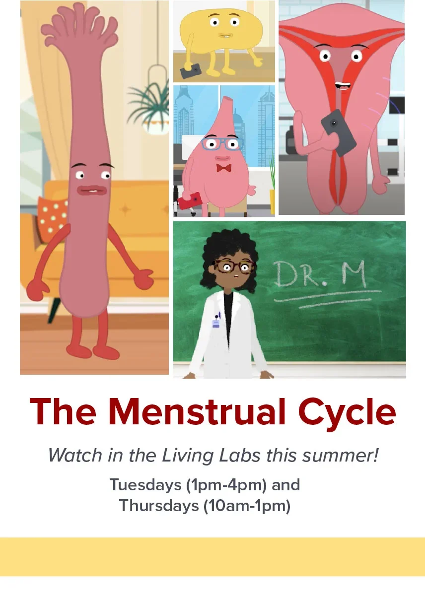 Menstruation poster