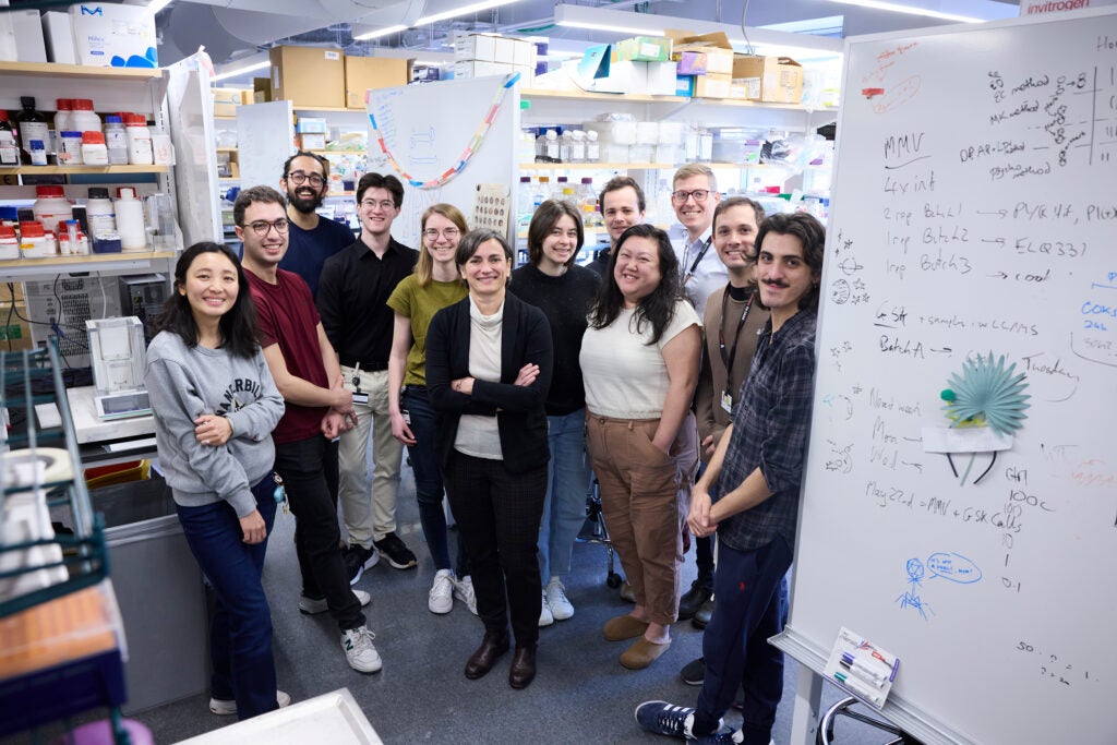 Lab Updates - 2023 | Harvard T.H. Chan School of Public Health