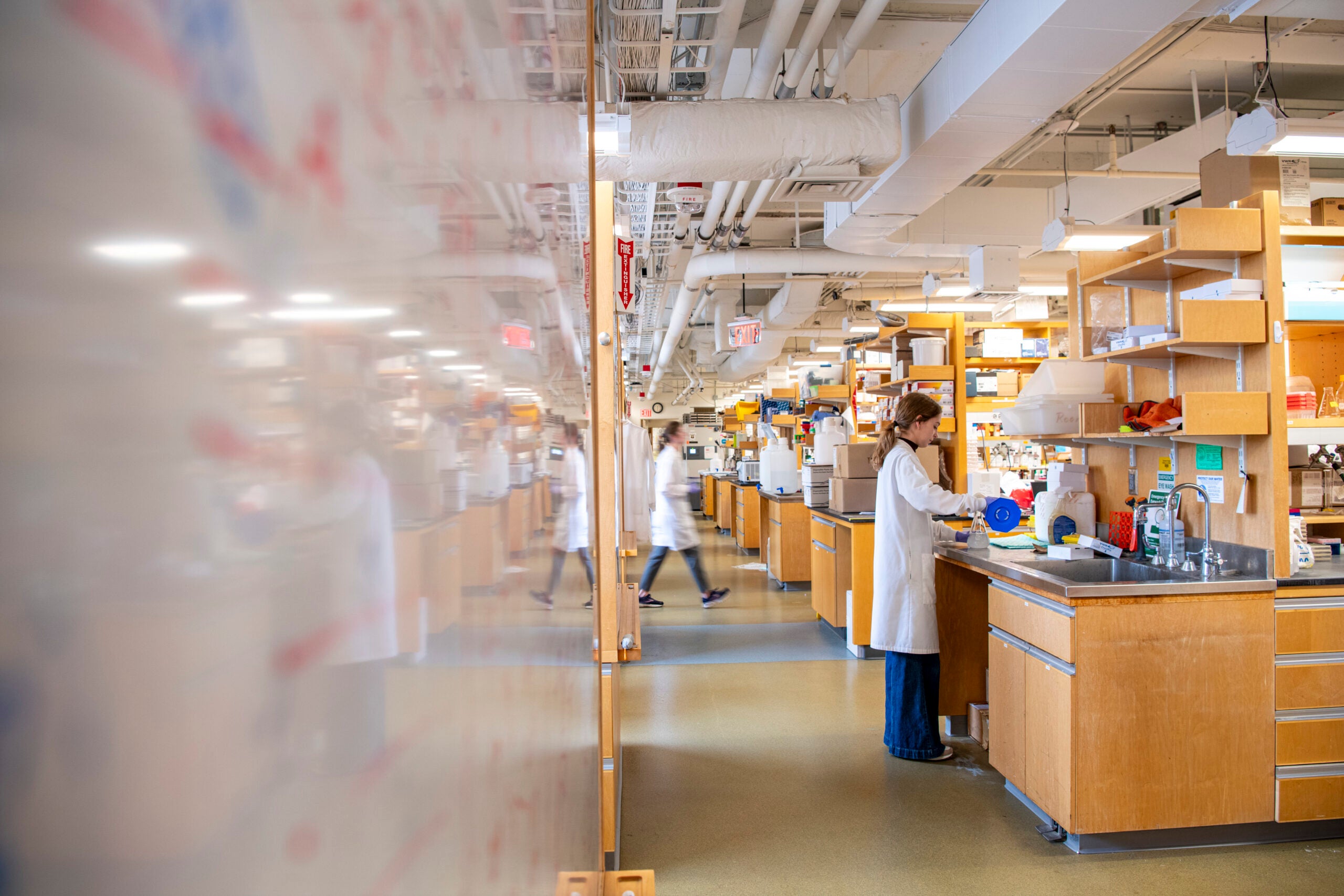 Members of the Grad lab working in the lab.