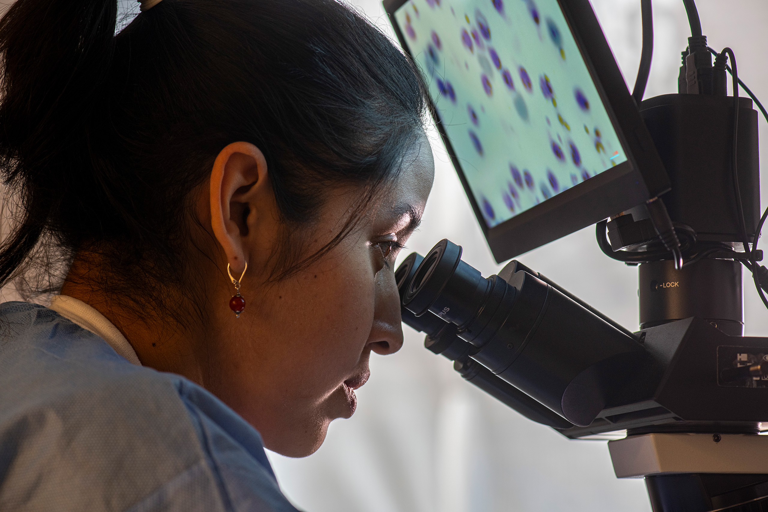 Duraisingh lab member looking at a mosquito parasite in a microscope