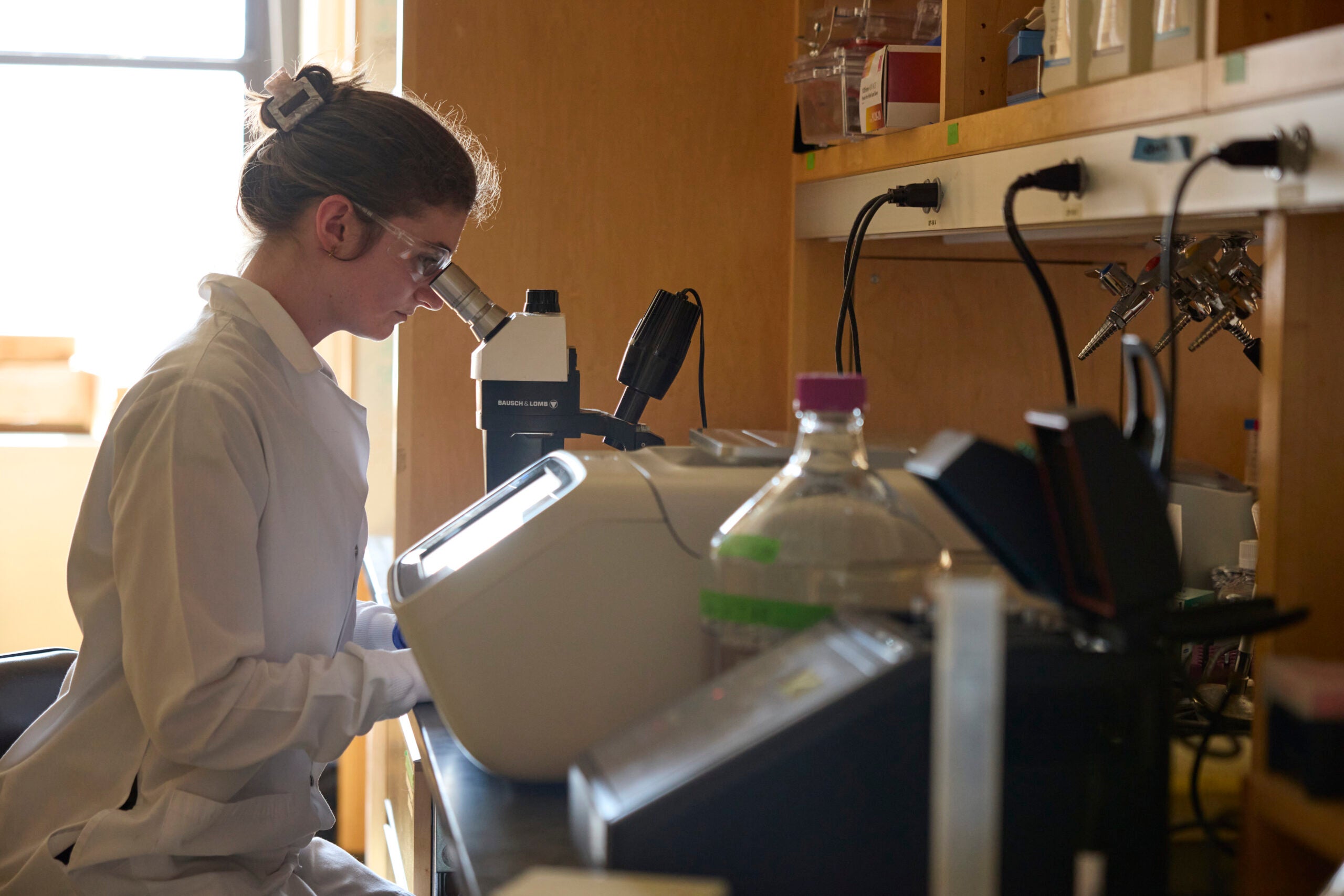 Grad lab member looking through a microscope in the lab.