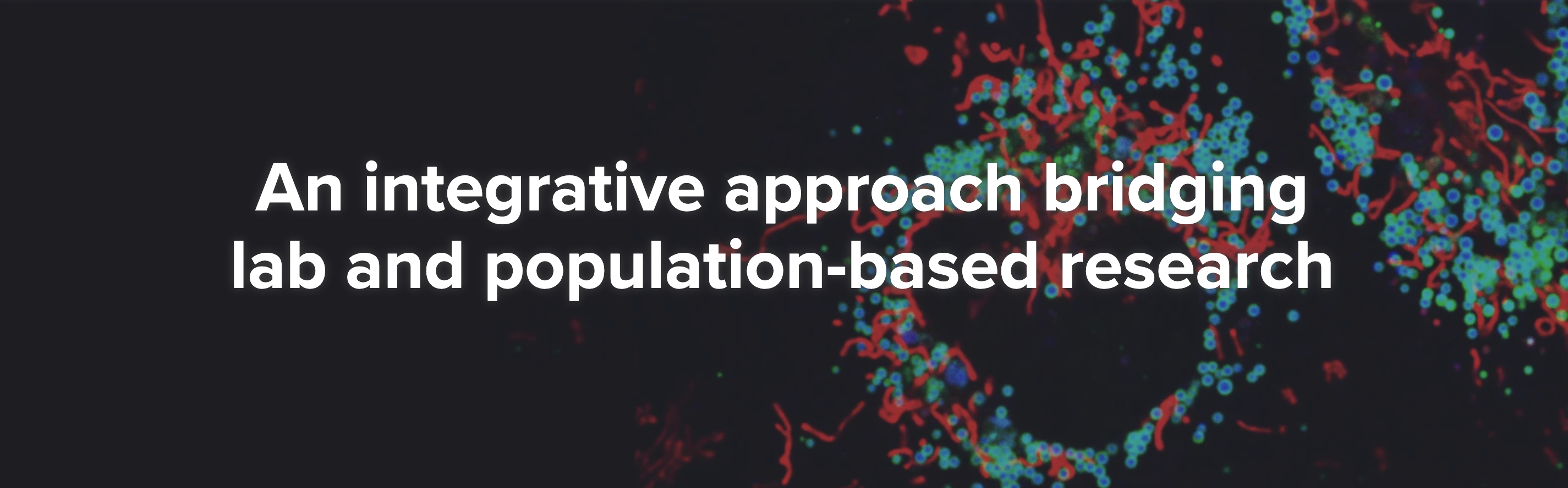 Molecular imaging that resembles a heart overlayed with text "An integrative approach bridging lab and population-based research"