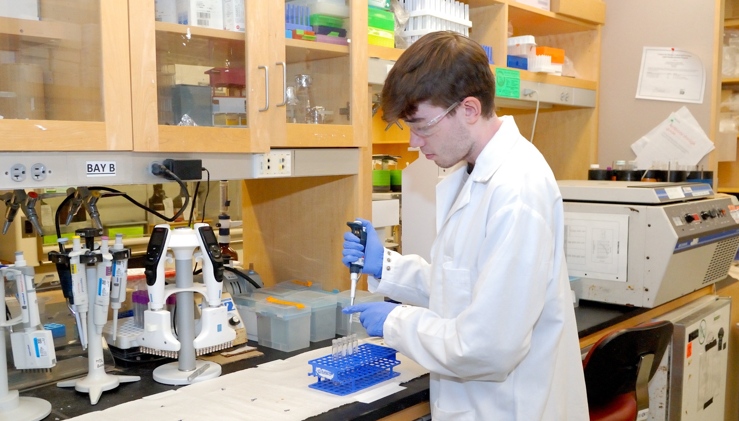 researcher working in the Nutritional Biomarker Lab