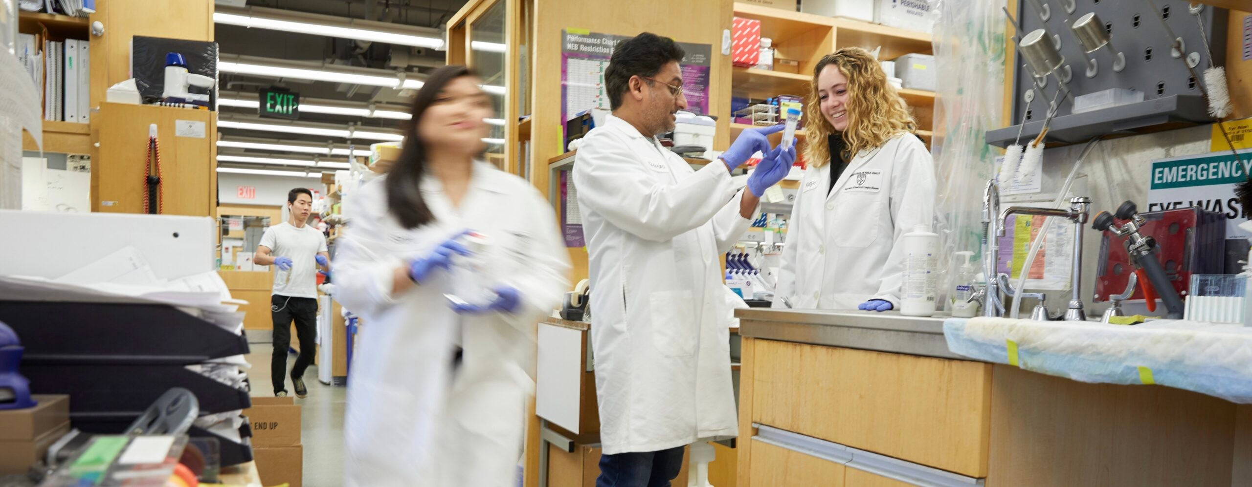 Lab members working diligently in the wet lab space.