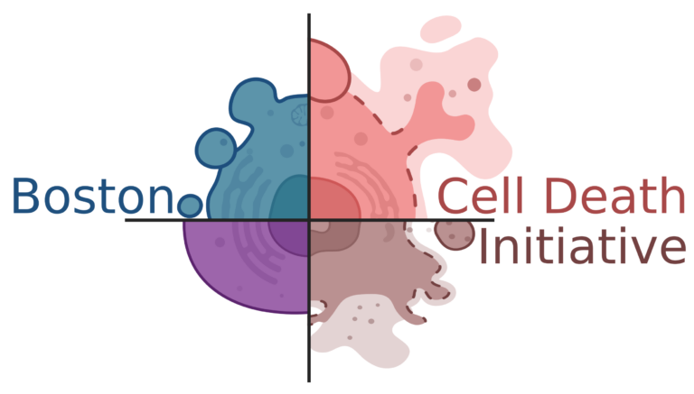 Boston Cell Death Initiative Logo