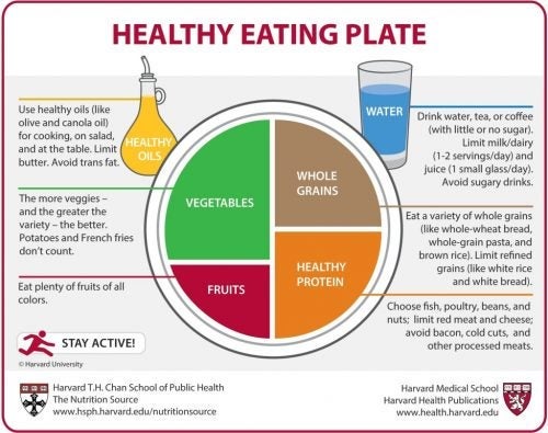 diagram of a "healthy eating plate" showing distribution of grains, protein, vegetables, and fruits