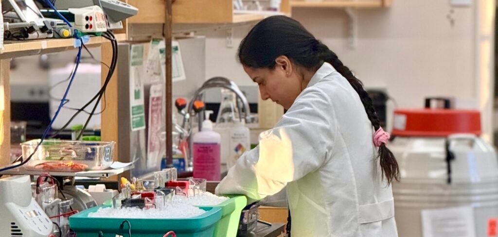 Aditi Prabhakar running experiment at the bench.