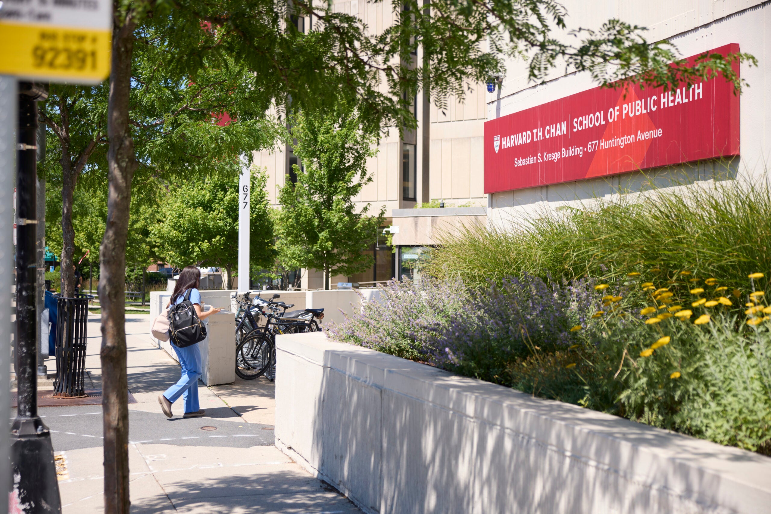 Kresge Building