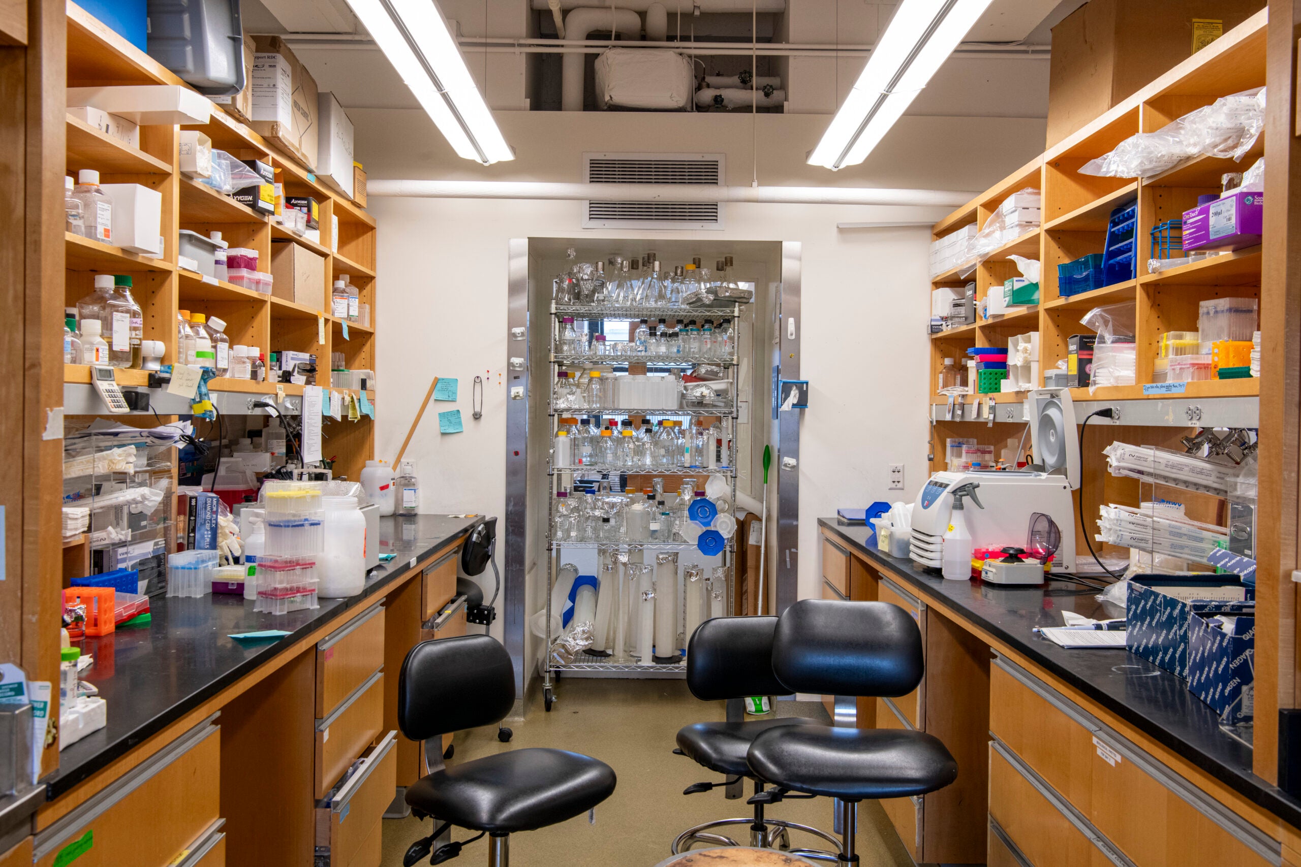 Lab benches, part of the Immunology and Infectious Diseases Department