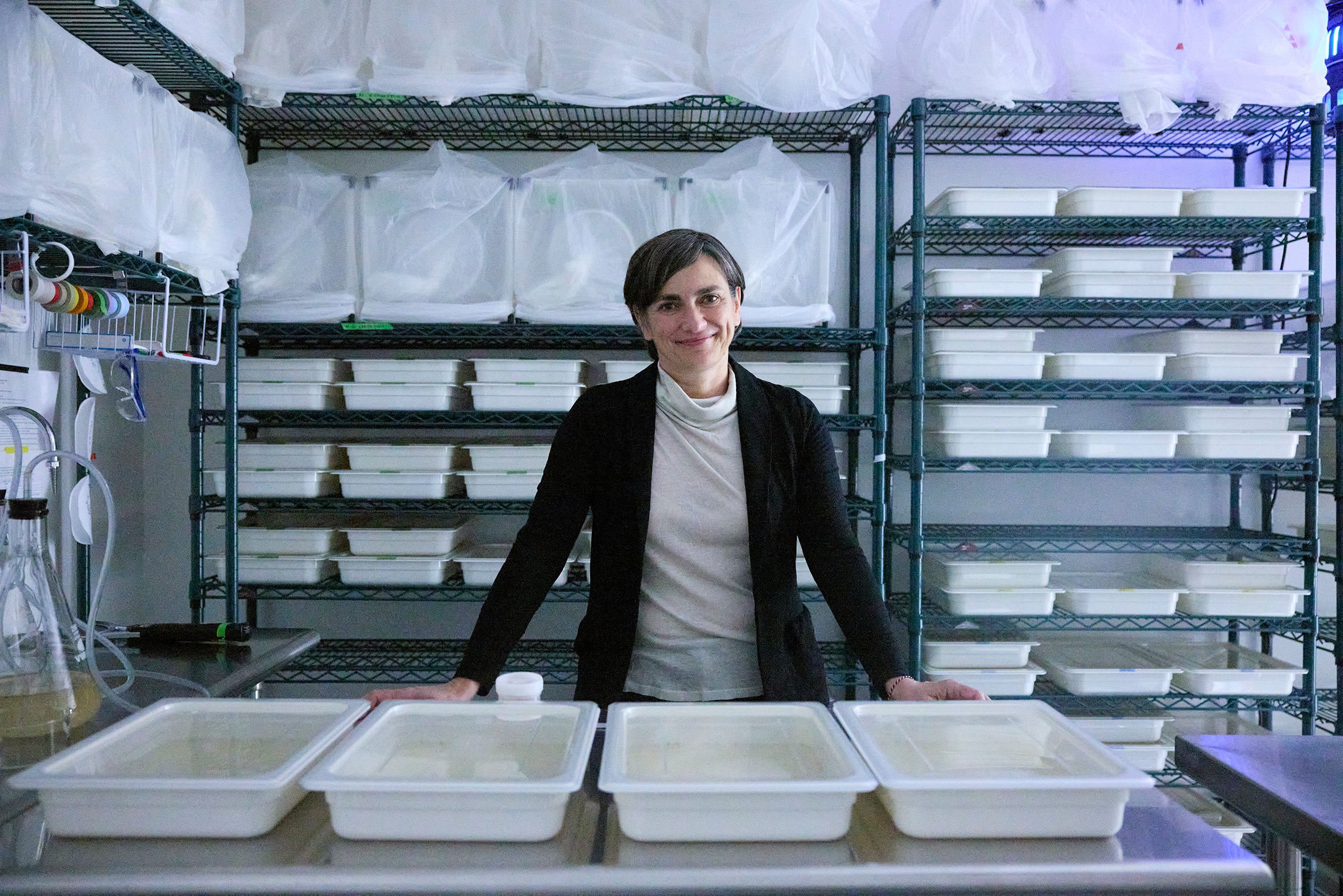 Prof. Flaminia Catteruccia in the insectarium