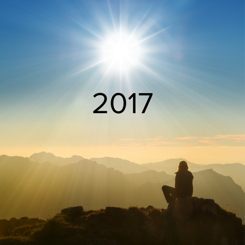 2017 Annual Report