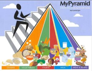 A visual history of food guides | Harvard T.H. Chan School of Public Health