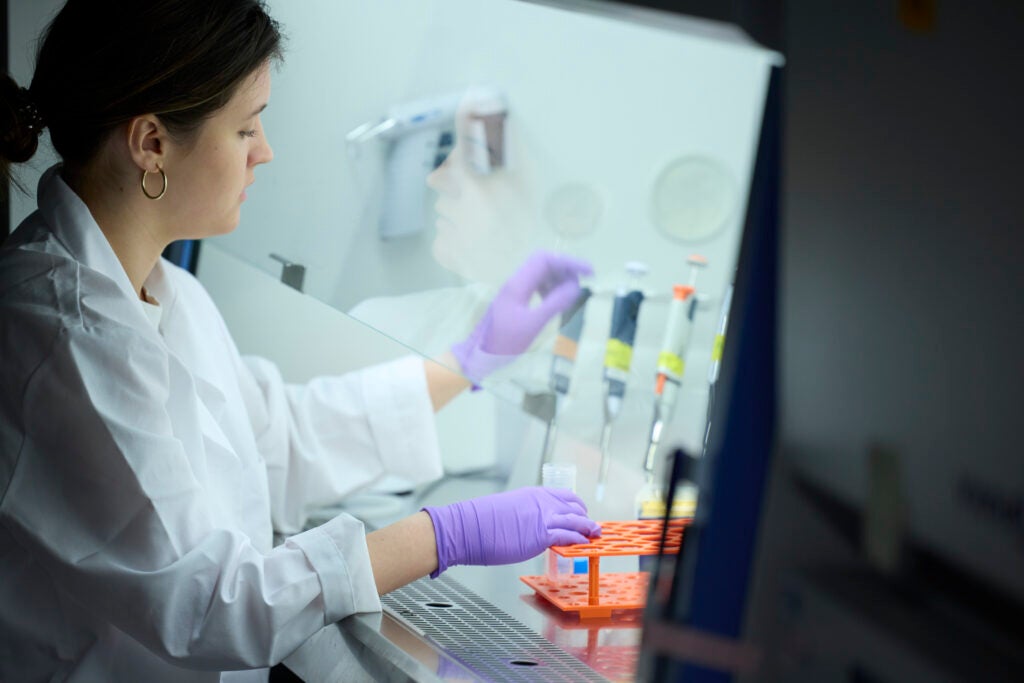 A student working with samples in the Allergy, Climate, and Exposomics Lab.