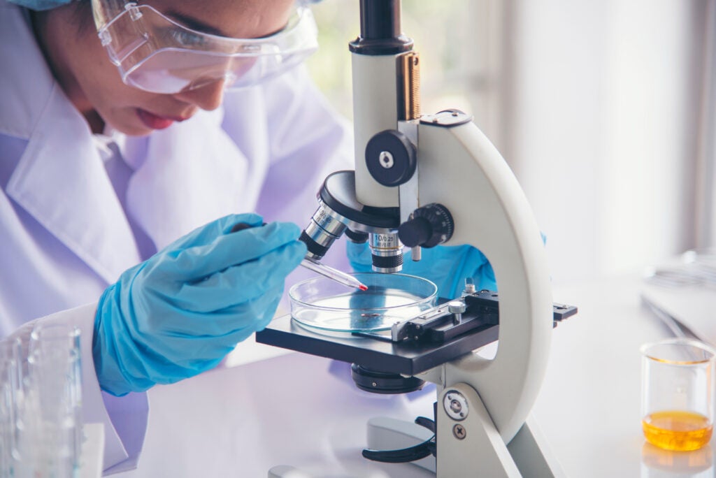 Scientist wearing safety goggles and gloves uses a microscope to examine a sample in a petri dish