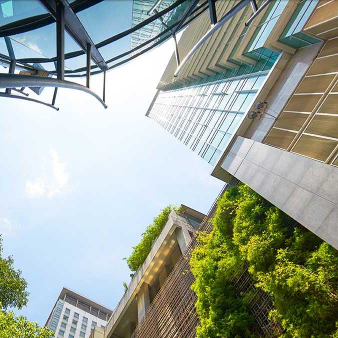 Looking upwards at tall healthy buildings