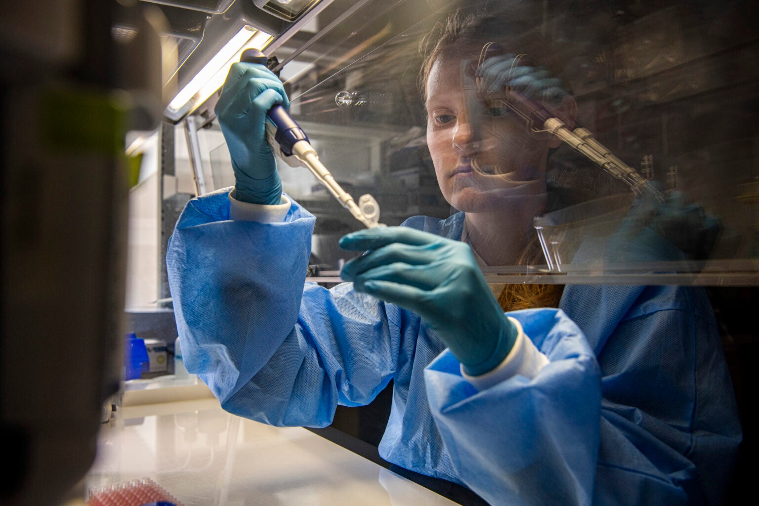 Our Research | Neafsey Lab | Harvard T.H. Chan School of Public Health