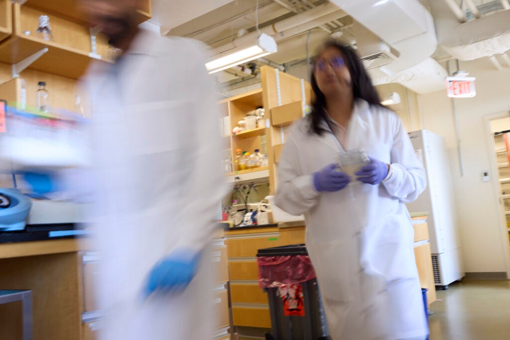 Two lab members in lab coats with gloves on walk through the lab.