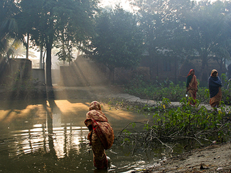 A woman collecting drinking water from a village pond in Bangladesh.