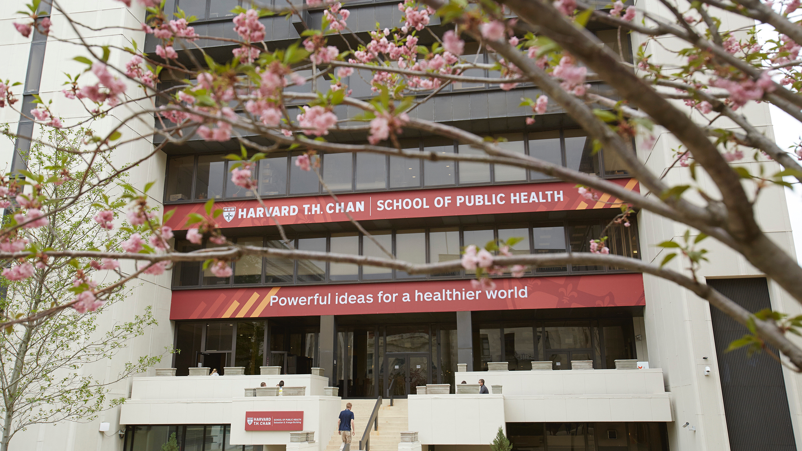 The outside of Harvard T.H. Chan School of Public Health with flowers bloomed. 