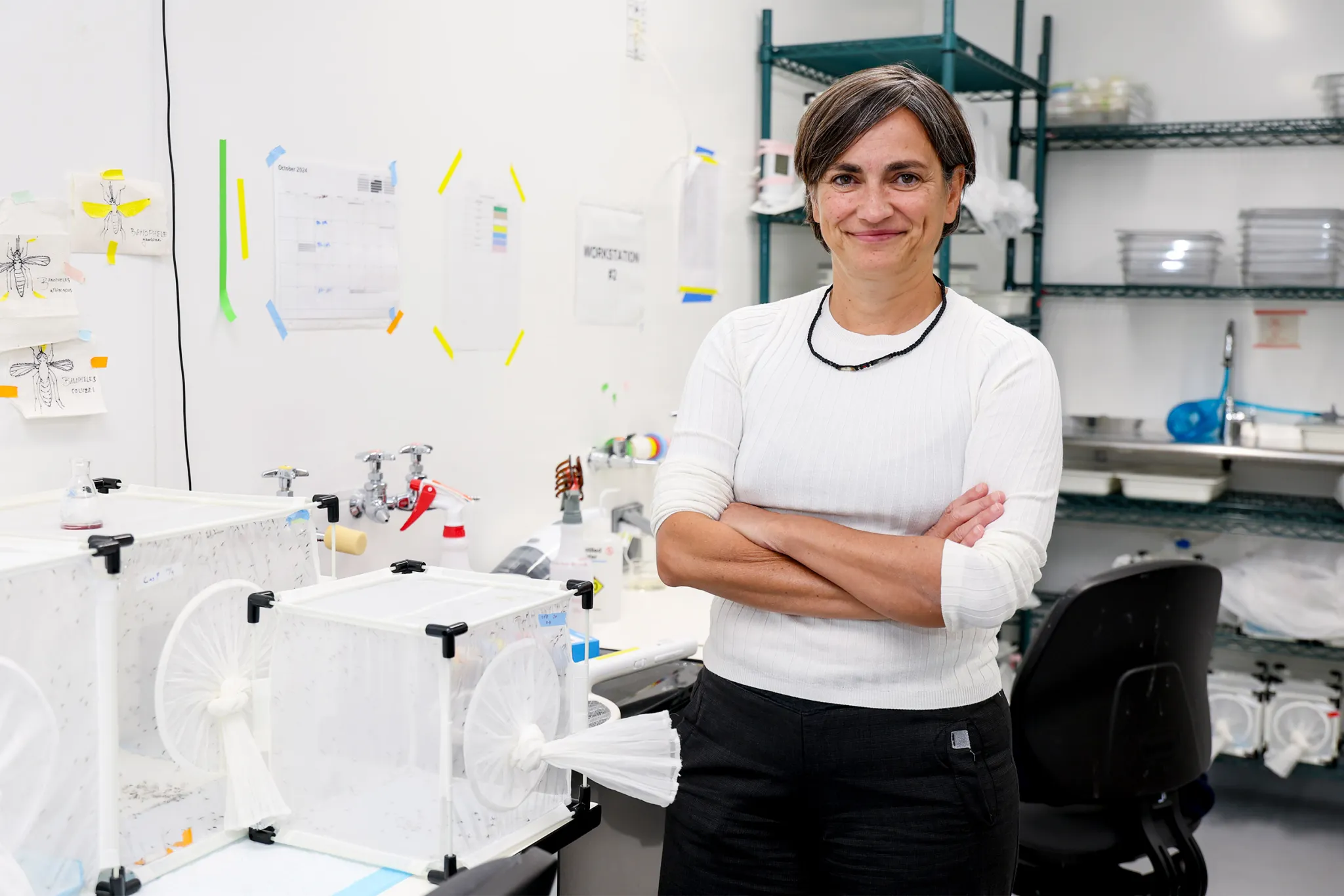 Dr. Flaminia Catteruccia in a lab with mosquito cages.