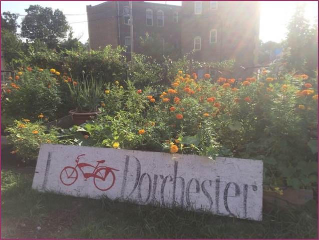 I bike Dorchester sign