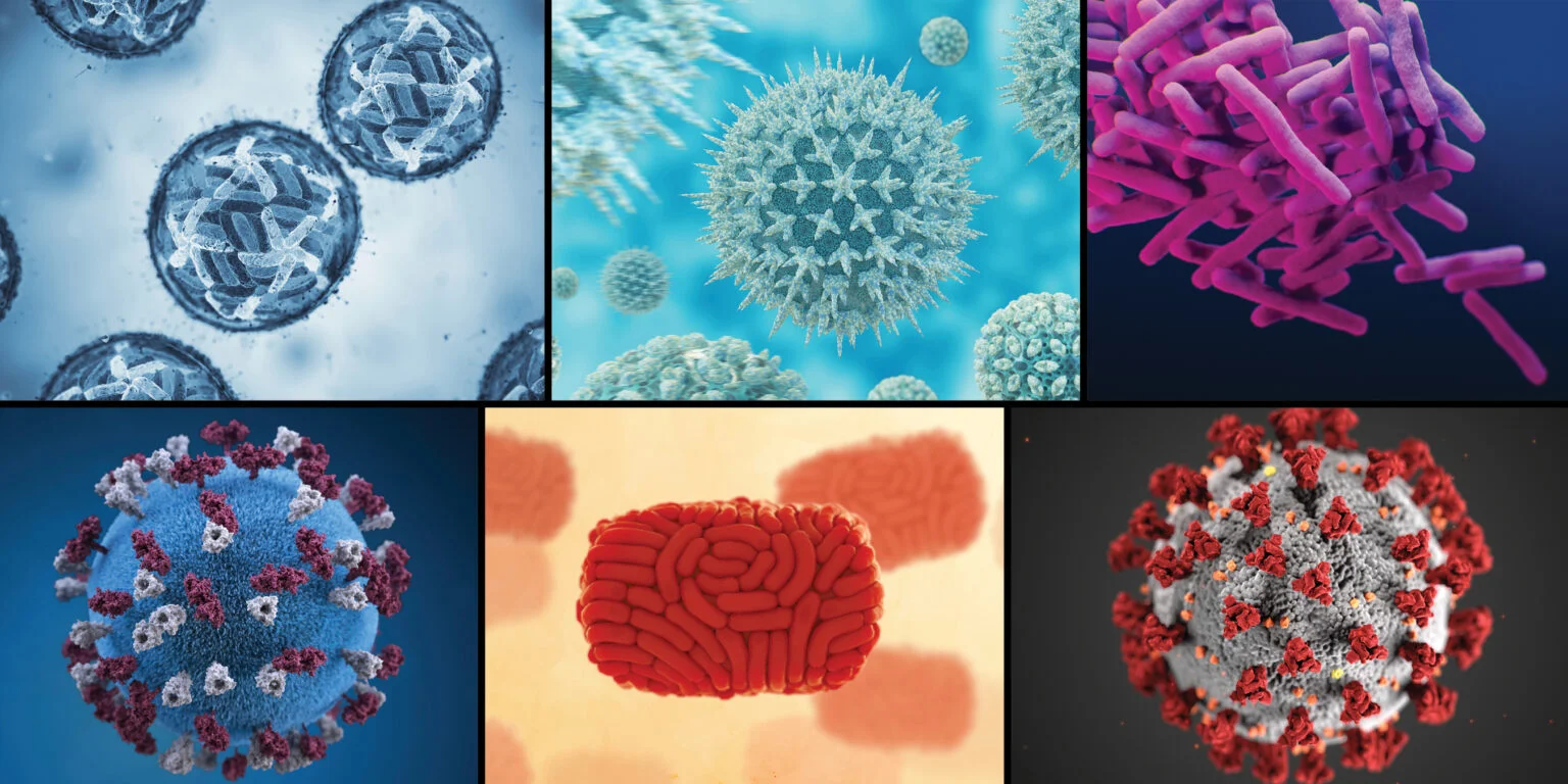 Six different infectious diseases in varying colors.