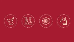 Decorative - IID Seminars