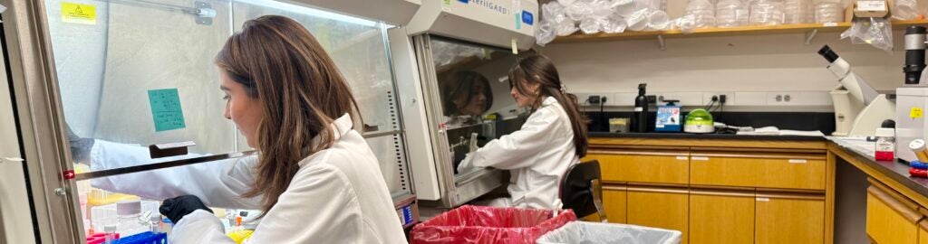 BPH Students working at the Fume Hoods in the Ubellacker Lab.