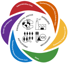 Harvard Chan NIEHS Center structure graphic