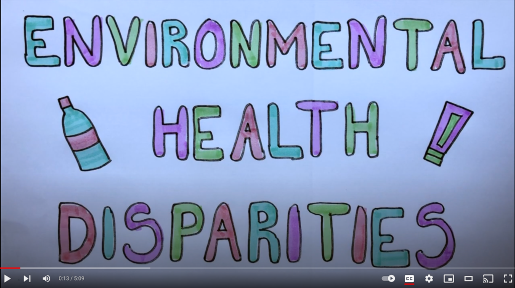 Environmental health disparities screen shot