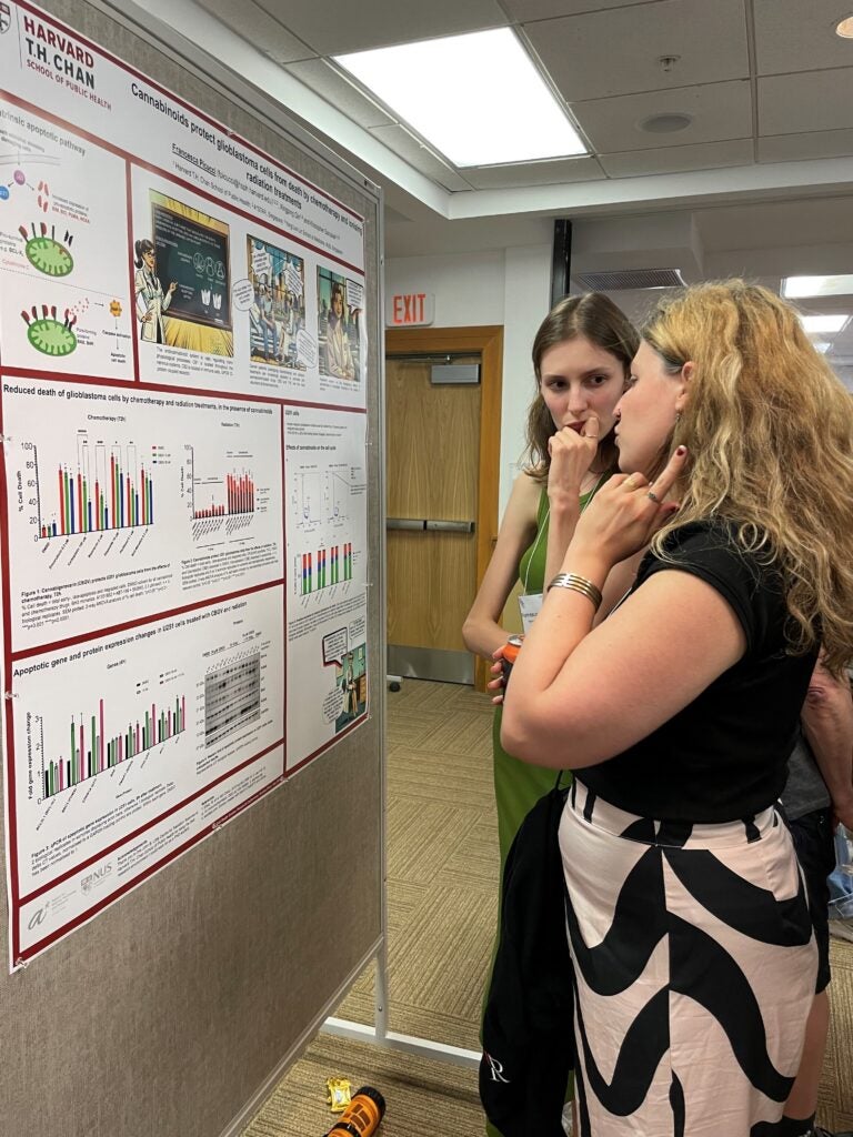 Francesca presenting at Gordon Research Conference