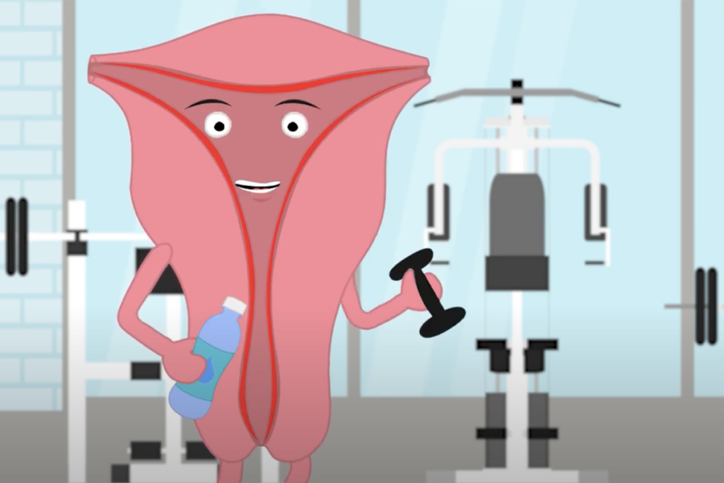 Uterus animation screenshot