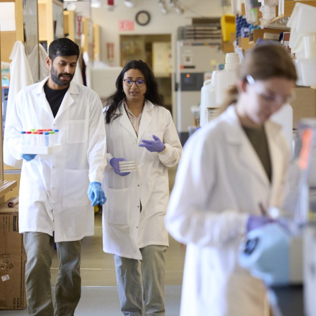 Two lab colleagues converse while walking down the aisle holding small pieces of equipment. In the foreground, another colleague is busy at a bench. 