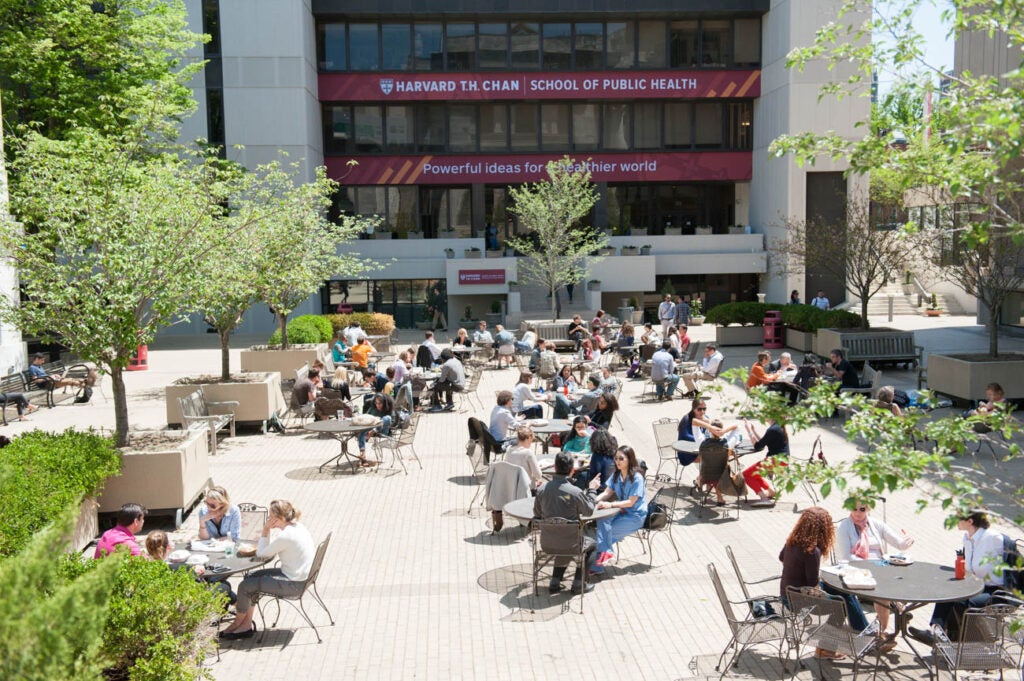 In a stone paved courtyard, about a dozen tables are full of people enjoying lunch and conversation. Trees and planters line the edges of the space, and the Kresge building is visible in the background, displaying the School name and "powerful ideas for a healthy world."