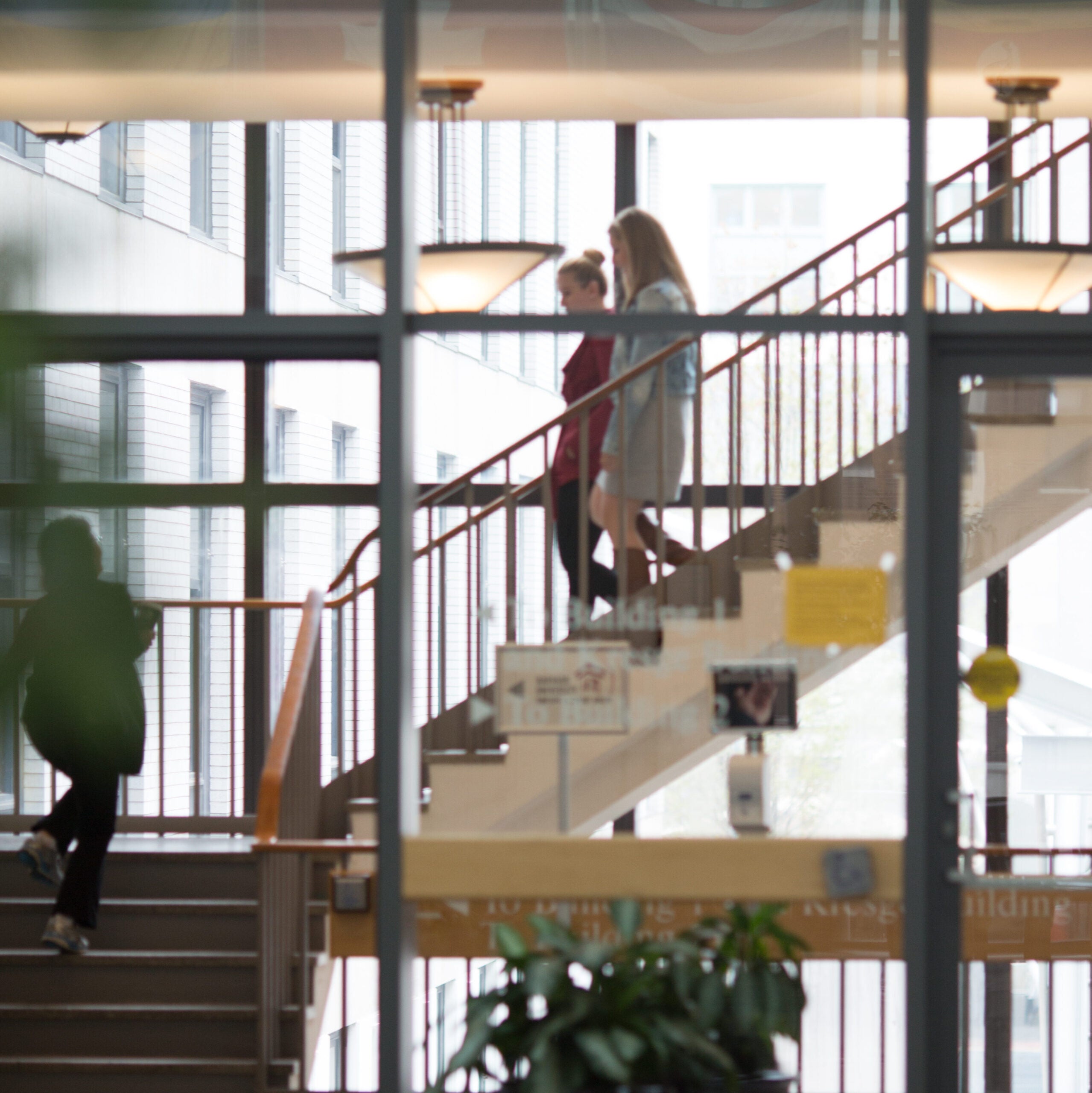 Two women descend a sun-drenched staircase in profile as another ascends. 