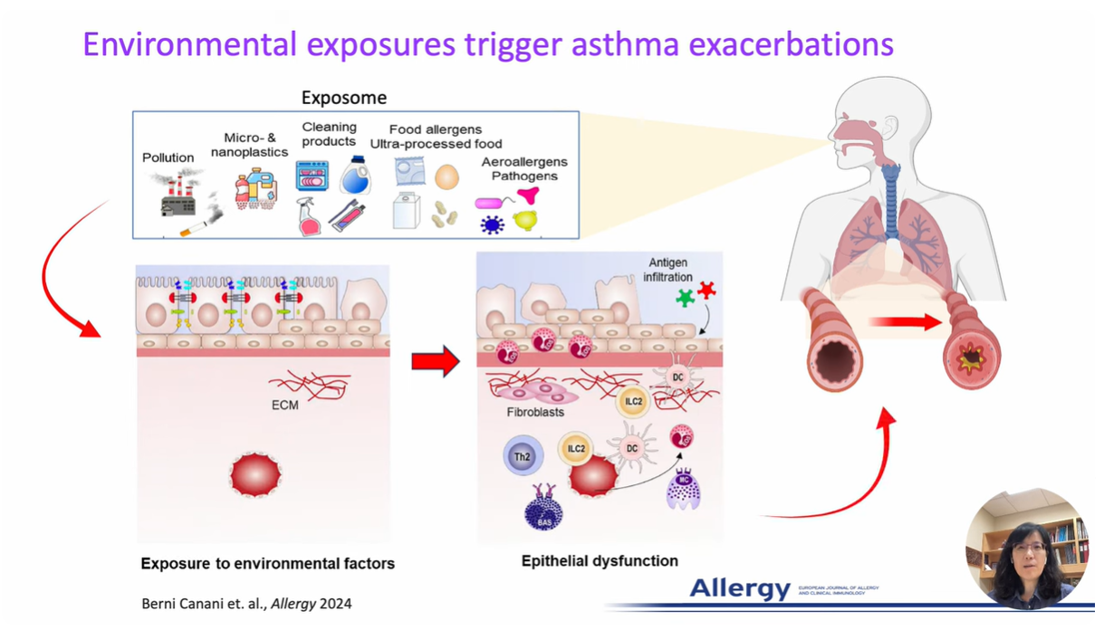 Screenshot of Youtube video of Jin-Ah Park presenting data from her paper in Allergy.