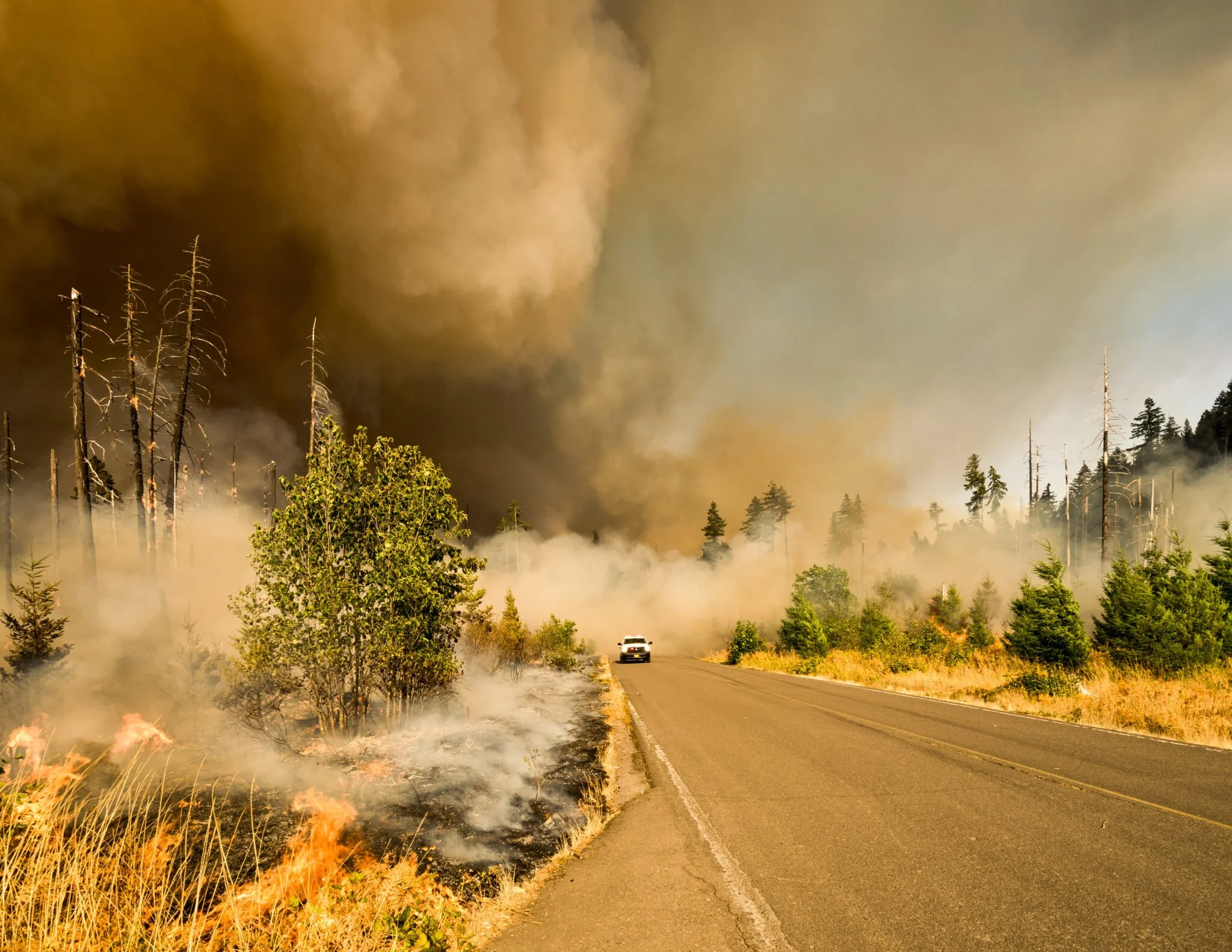 Car driving out of wildfire smoke