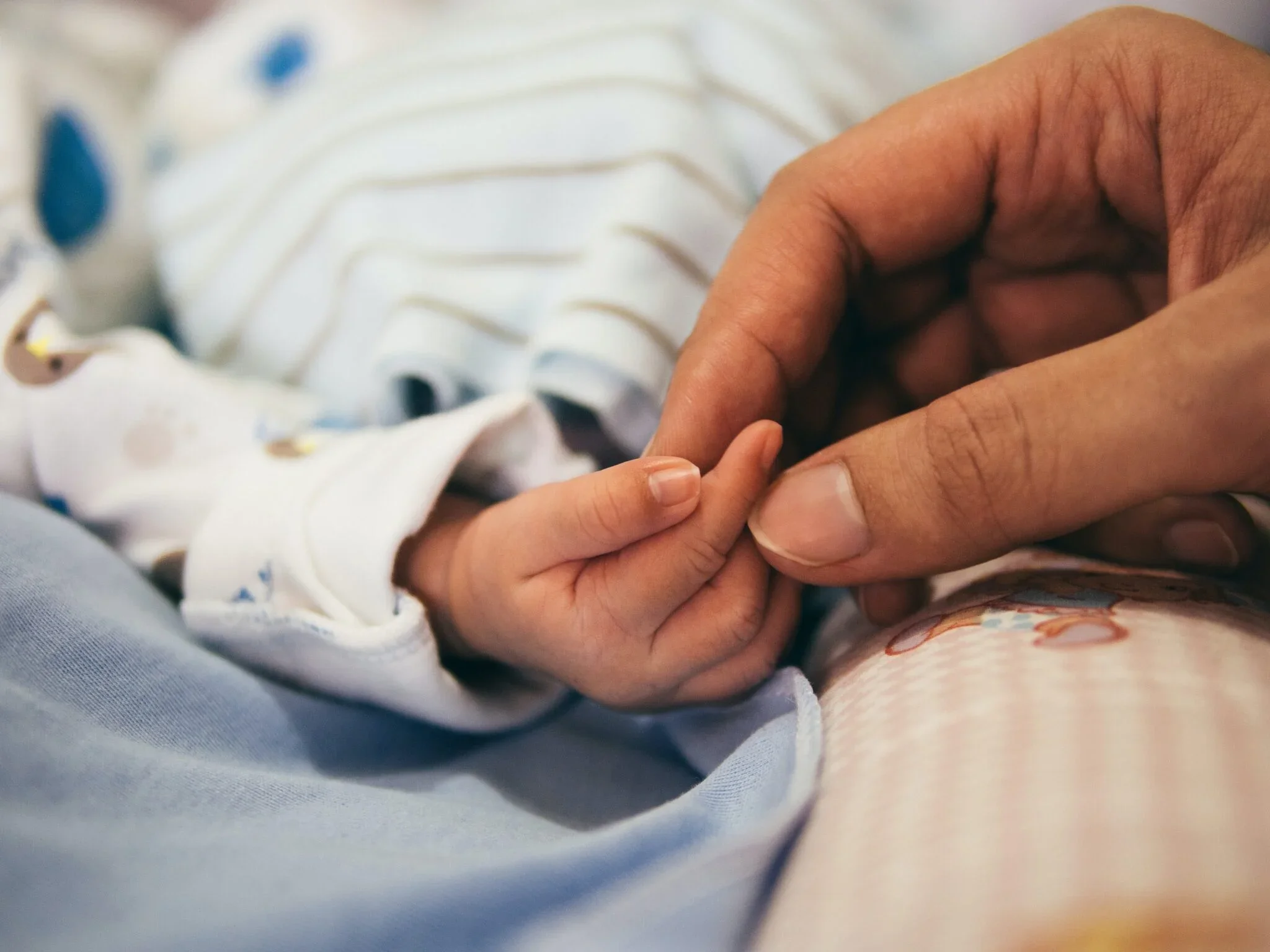 Adult and baby hand