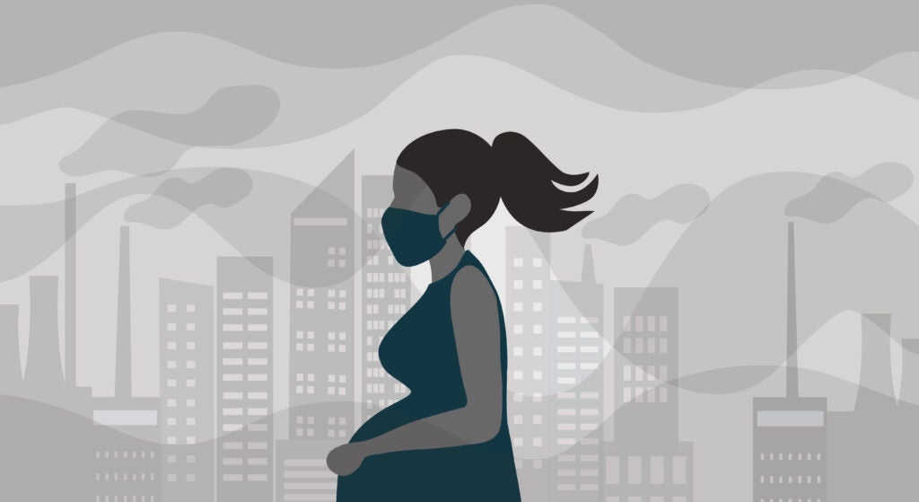 Fine particulate air pollution may play a role in adverse birth outcomes