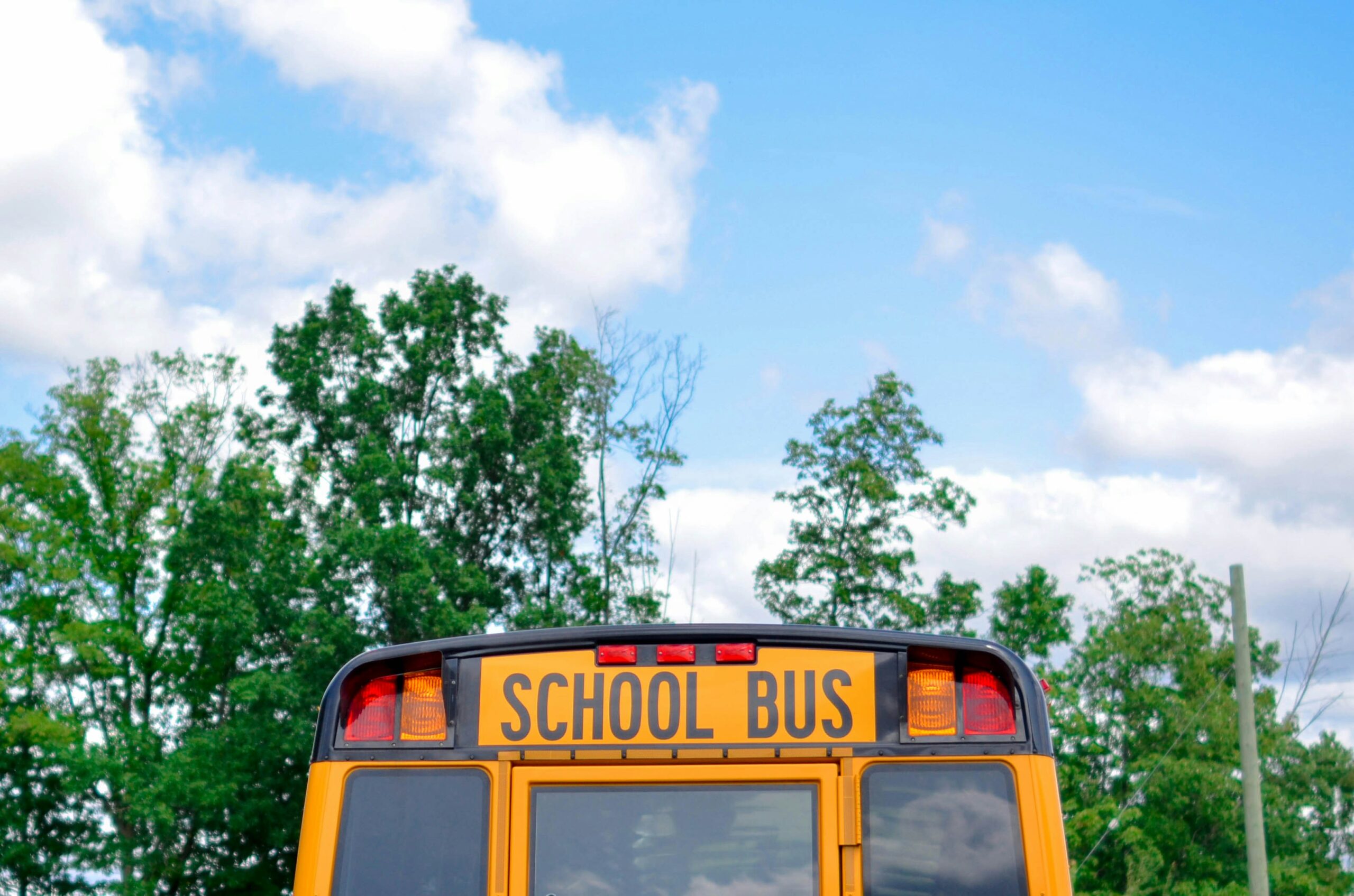 Photo of a yellow school bus in front of a blue sky and green trees.