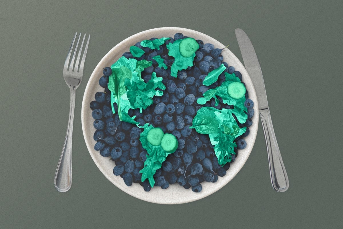 Event image of bowl of blueberries and greens in shape of earth