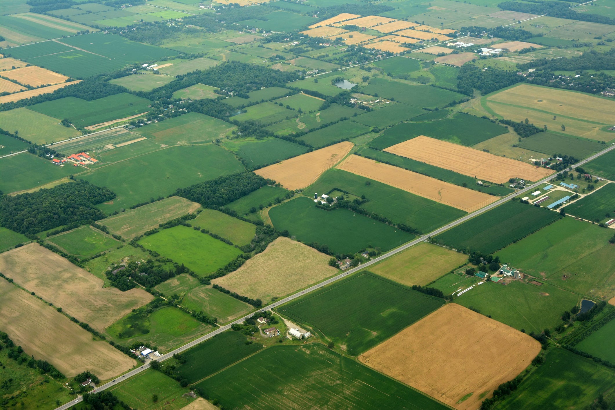 Aerial view of farmland