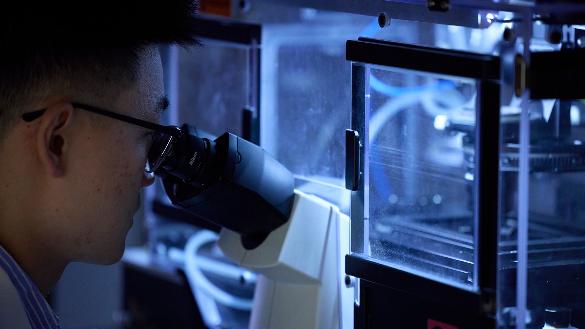 Person looking into scientific equipment