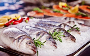 Group of whole fish served on ice with rosemary