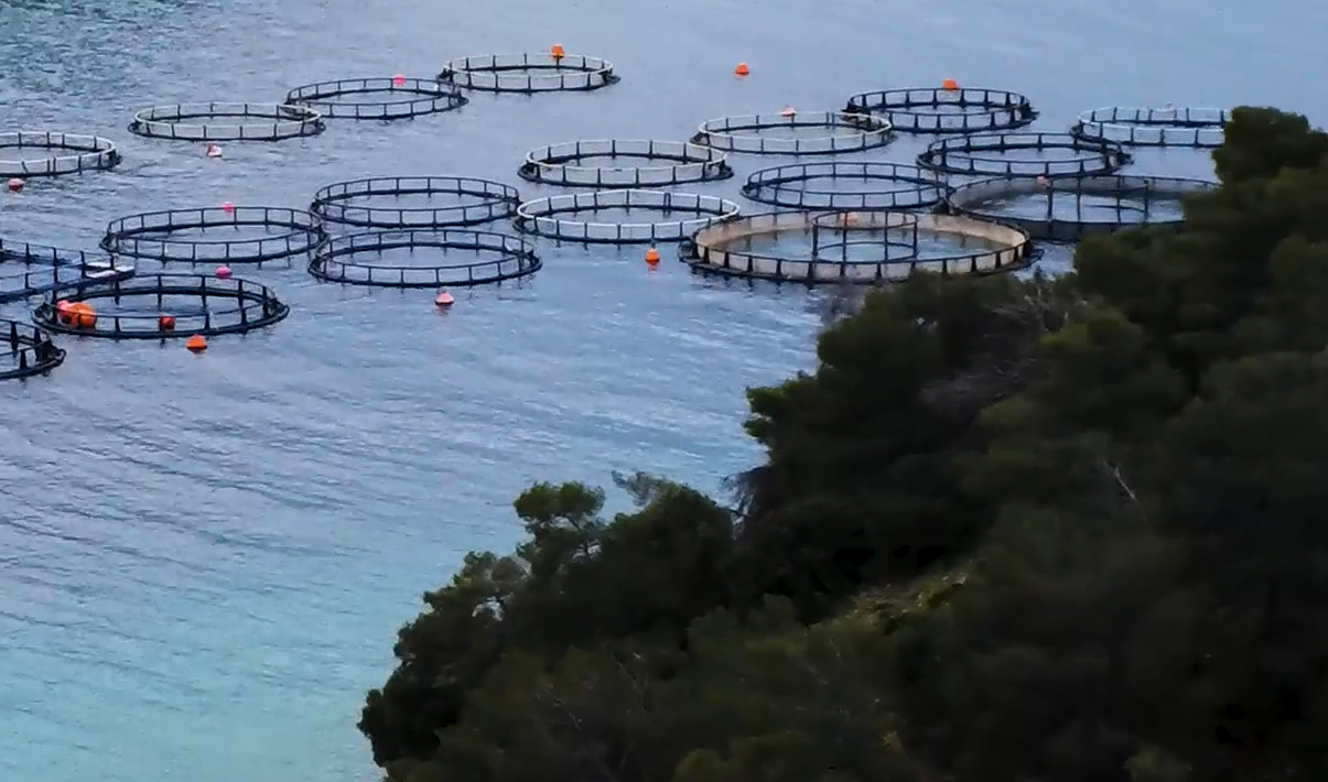 Shot from "Until the End of the World" film showing aquaculture pens off of the coast of Greece.